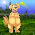 Fetching Pup!