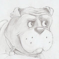 Fu Dog 2 by PJcorgi