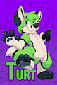 Furnal Equinox badge: Turt