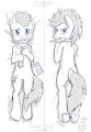 Doctor Whooves Dakimakura by eCartoonman