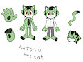 My first sonic OC :D  Antonio the cat by mepwep