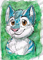 Raffle Prize