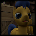 Always feels like someponies watching me! by DigitalFlashSentry