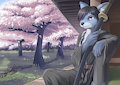 Nordic Fuzz CON pic