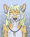 Snow <3<3<3<3