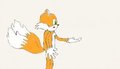 Tails by PrinceRiolu