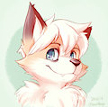 Temmy by Dandi