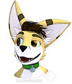 [C] Fennec Fox by Maximum124