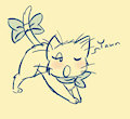 Yawning Cat