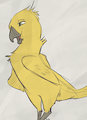 Yello Birb