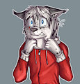 *C*_Panic the lynx by Fuf