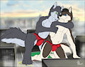 Macro Wrestling by nh63879