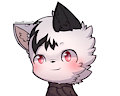 Headshot Raffle