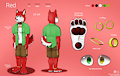 [Co] Red Reference Sheet