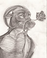 [Comm] Borges Bust Commission by SeanHart