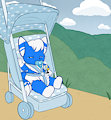 C* taking the fluffy for a stroll