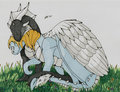 Dragon Hugs