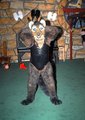 Travis in his PVC Teddy  Posing