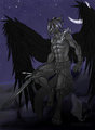 Wings of the Night