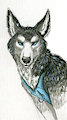 Husky Paint Fail
