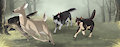 Hunting Pack by faolanwolfsavor