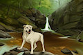 R.I.P Casper by faolanwolfsavor