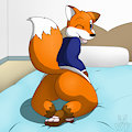 I Has a Fluffy Butt
