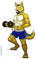 Swol Body, Empty Stomach feat. Furshinko