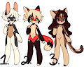 Adopt Auction:Closed