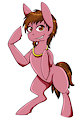 D Pony