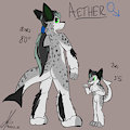 Aether the Fluffshark by Proteus