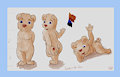 More of Brownie the bear