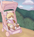 Sleepy Stroller Ride