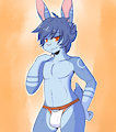 Bunderwear