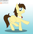 Bowtie pony