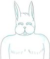 Head practice 12