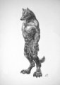 A standing wolf by Nerevar