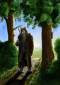 On the journey