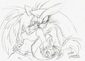 Blaze and Silver by Mimy92Sonadow