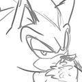 Shad