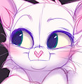 Kody by xepxyu