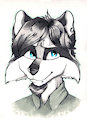 Enot by Wunderknodel