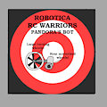 Pandora's Bot RC Warriors Toy Design Concept