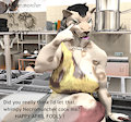 Malasi Shaved (April fools)