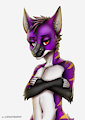 Commission - Hanzer