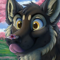 Cherry Blossom Season