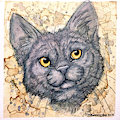 Mug Shots - Lidiya