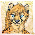 Mug Shots - LittleCheetah by PaintlessDog