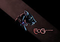 Fog The Black Panther by Fog