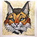 Mug Shots - Nenya